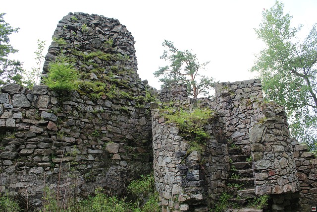 img00053.jpg