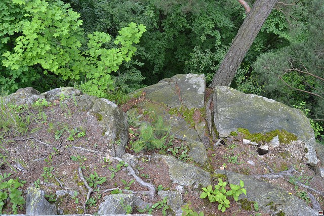 img00054.jpg