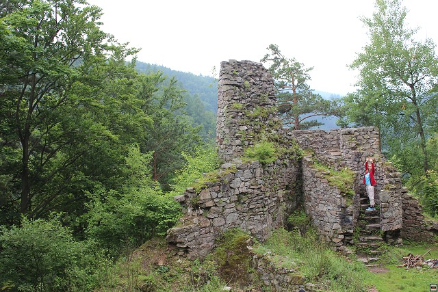 img00056.jpg