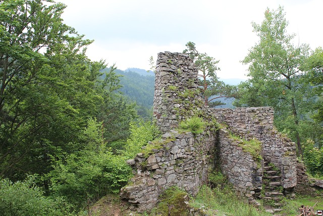 img00060.jpg