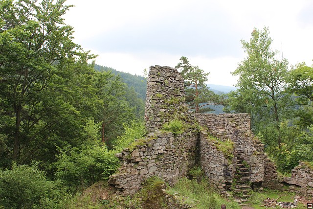 img00061.jpg
