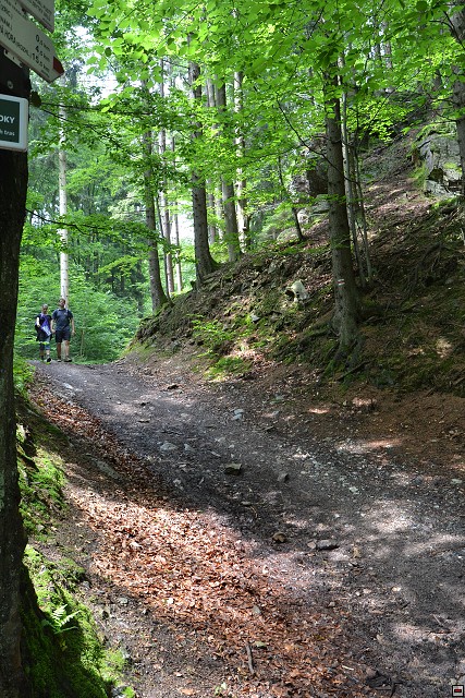 img00062.jpg