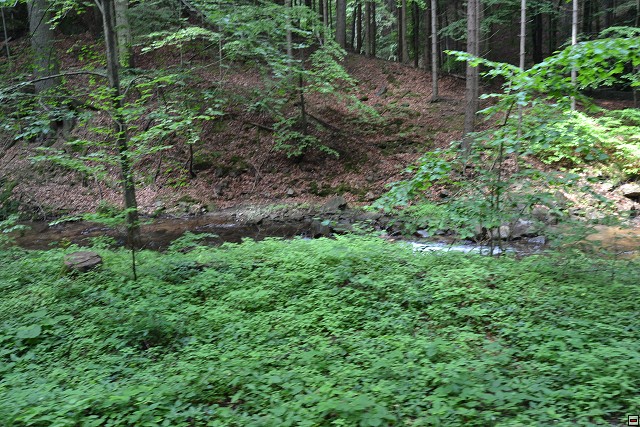 img00064.jpg