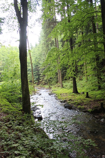 img00065.jpg