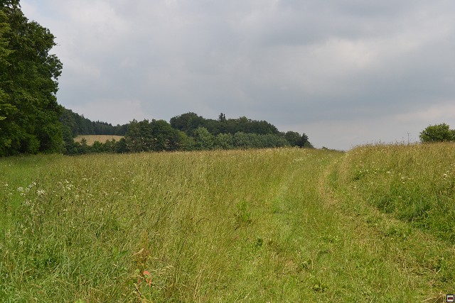 img00066.jpg