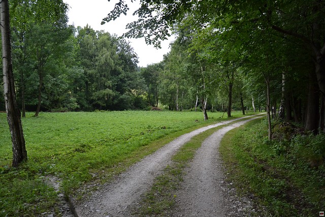 img00068.jpg