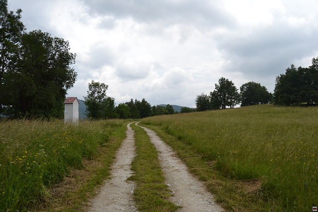 img00071.jpg