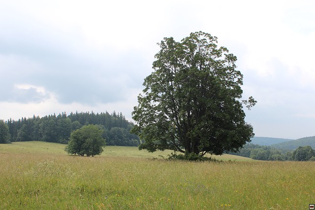img00073.jpg