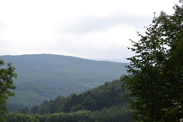 img00077.jpg