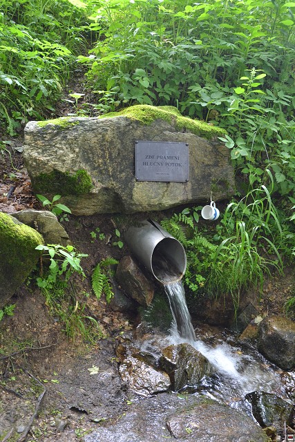 img00081.jpg