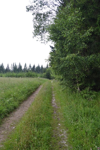 img00085.jpg