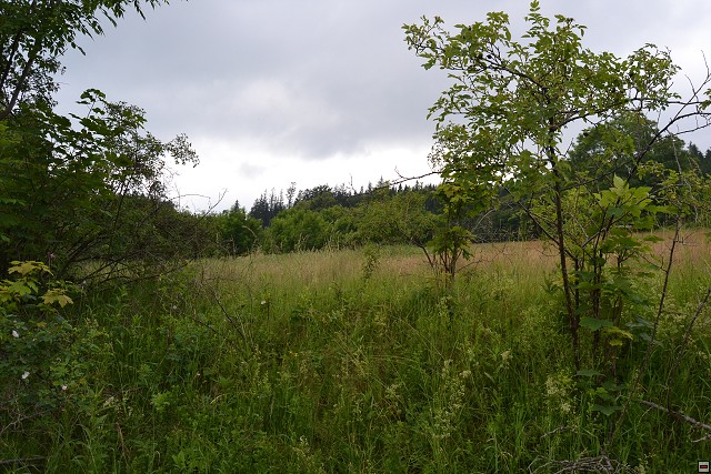 img00087.jpg