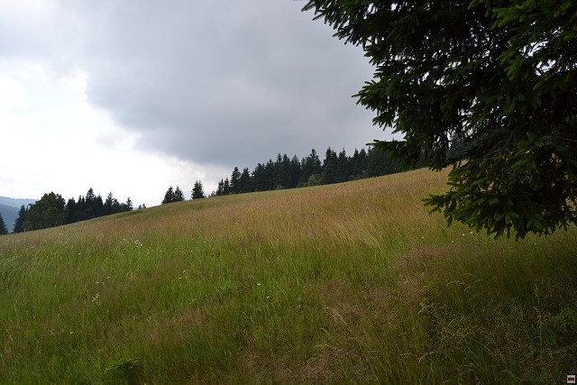 img00090.jpg