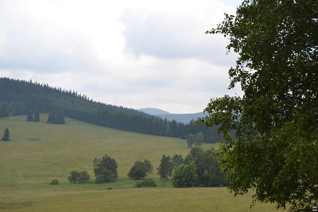 img00091.jpg