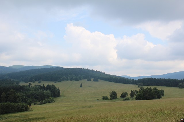 img00092.jpg