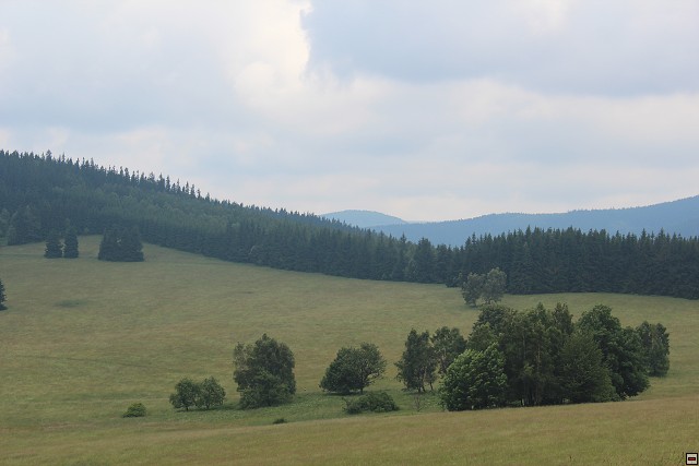 img00093.jpg