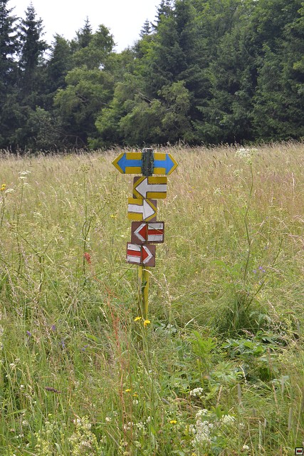 img00094.jpg
