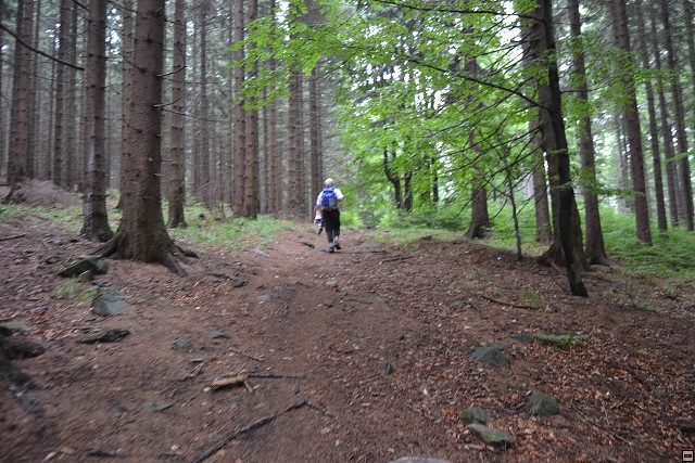 img00100.jpg