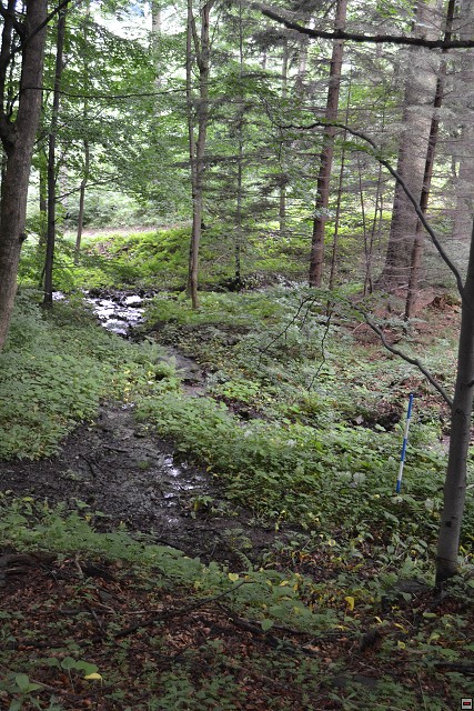 img00109.jpg