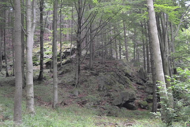 img00110.jpg