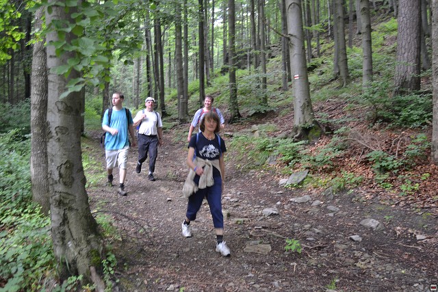 img00114.jpg