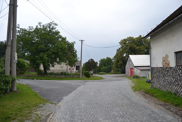 img00116.jpg