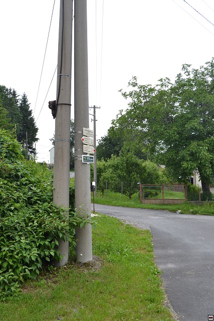 img00117.jpg
