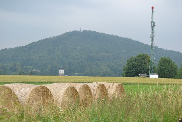 img00119.jpg