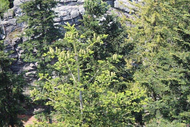 img00164.jpg