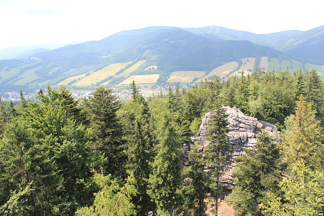 img00167.jpg