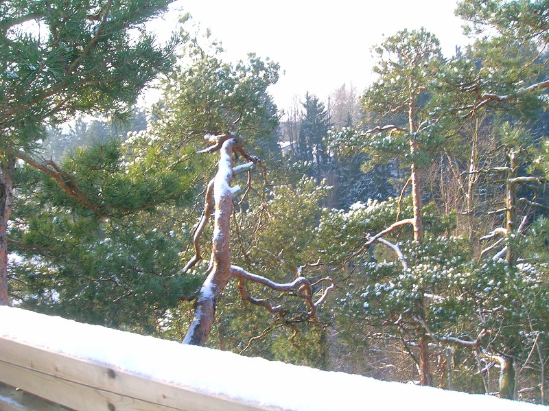 ... nebo ještě méně