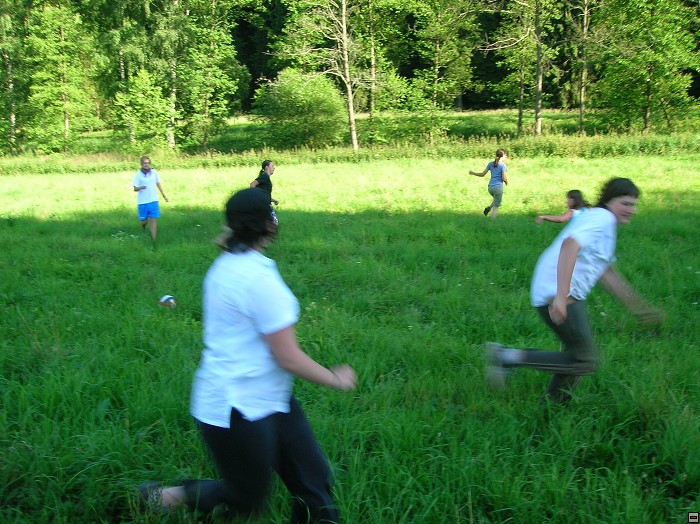 img00049.jpg