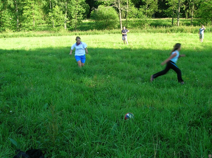 img00050.jpg