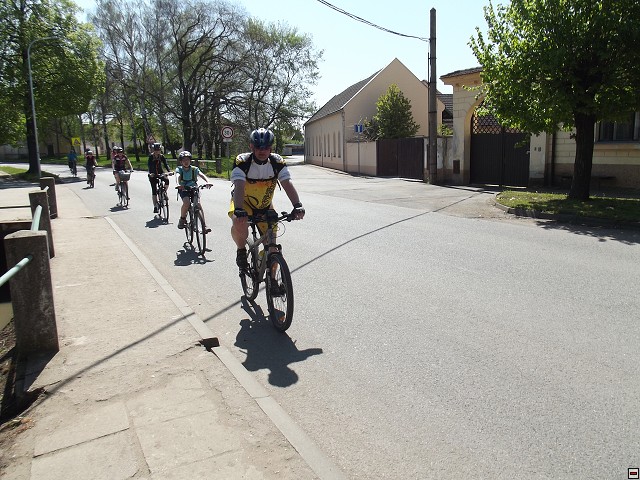 img00017.jpg