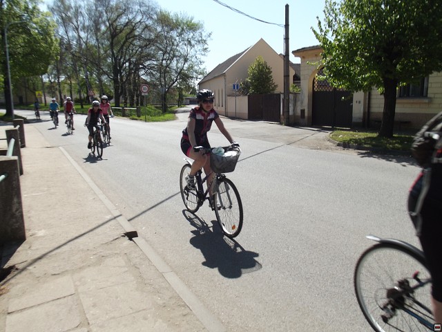 img00018.jpg