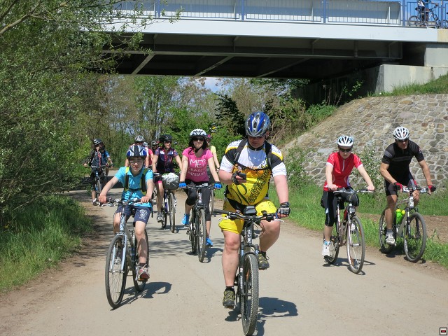 img00037.jpg