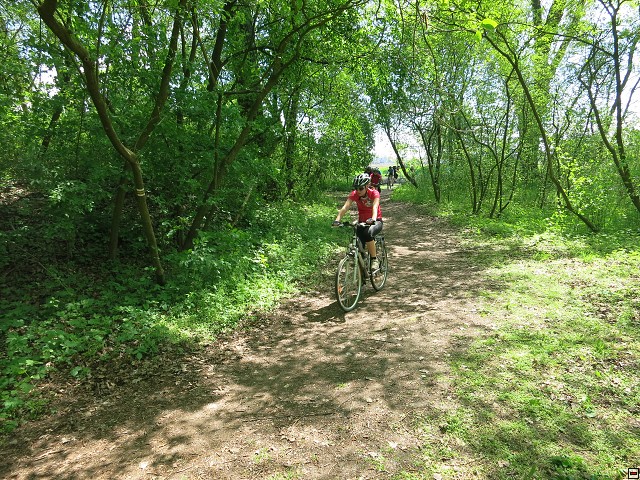 img00048.jpg