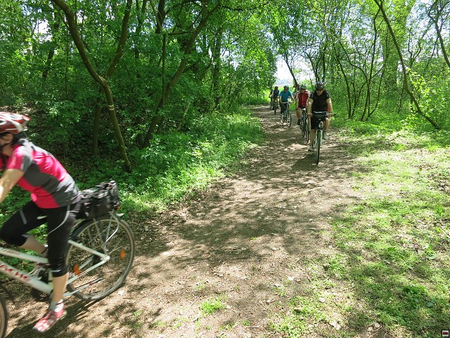 img00049.jpg