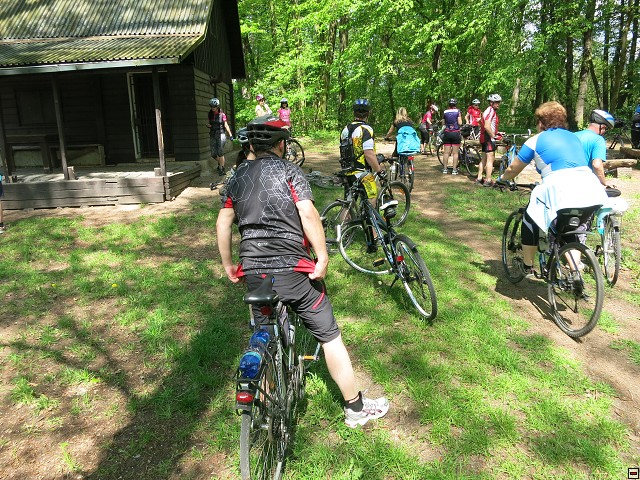 img00050.jpg