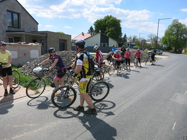 img00065.jpg
