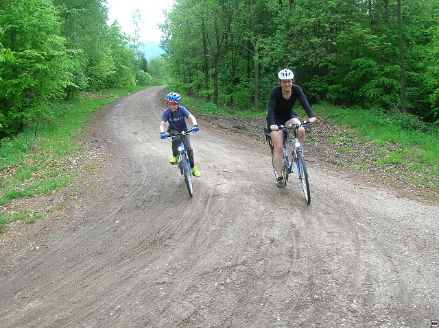 img00008.jpg
