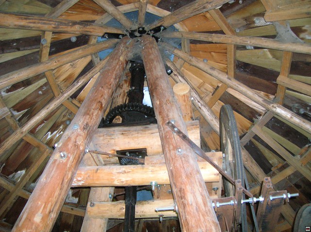 img00020.jpg
