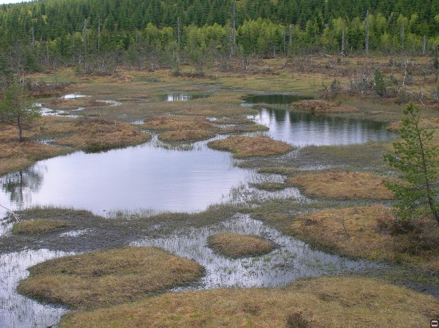 img00025.jpg