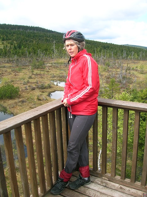 img00026.jpg