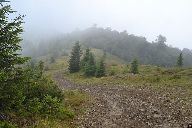 img00007.jpg
