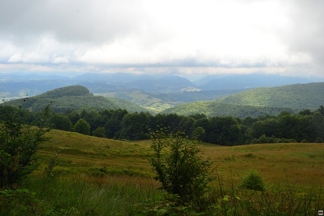 img00008.jpg