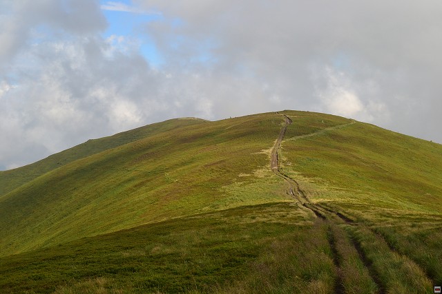 img00015.jpg