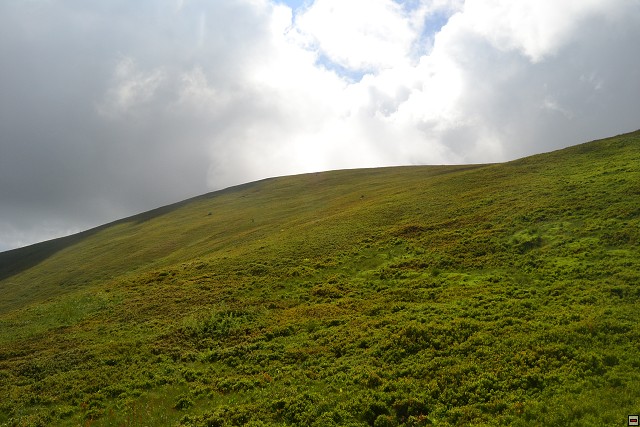 img00018.jpg