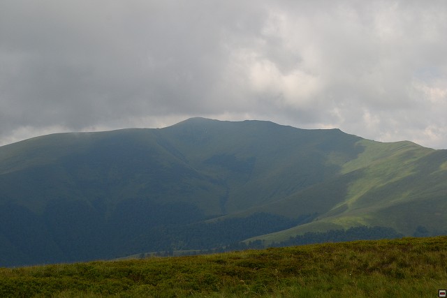 img00021.jpg
