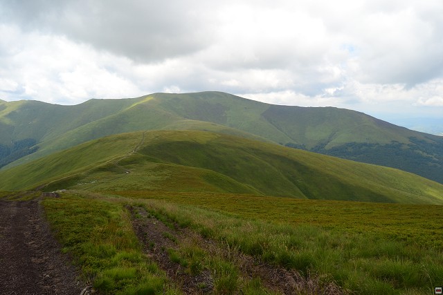 img00025.jpg
